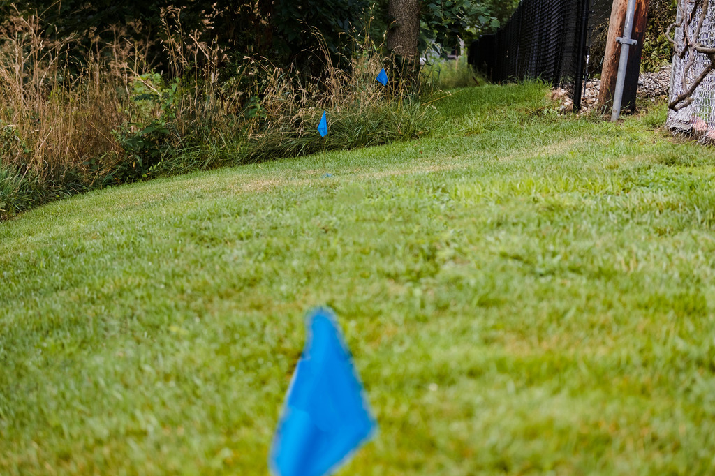 Blue flags in grass marking boundary