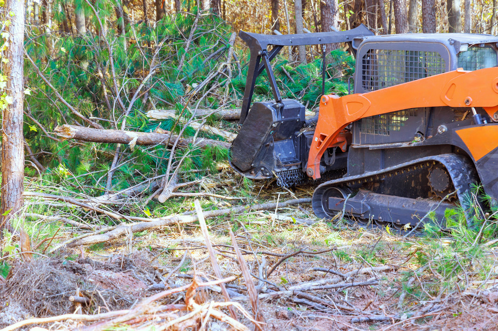Forestry mulcher